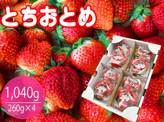 【ふるさと納税】【数量限定】とちおとめ 4パック入り1箱 苺いちごイチゴ果物フルーツ（KBP-2）