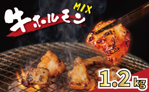 ホルモン 小分け 約1.2kg 300g×4袋 冷凍 牛ホルモン 牛肉 ほるもん horumon ホルモン 個包装 味付き肉 人気 おすすめ お肉 肉 にく ミックスホルモン 焼き肉 焼肉 やきにく ヤキニク ホルモンミックス もつ モツ 焼肉工房もく 奈良県 奈良市