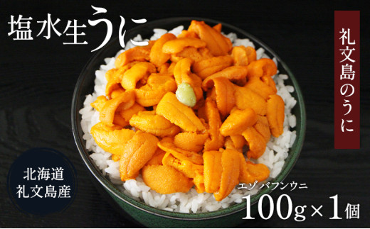 北海道 礼文島産 ミョウバン不使用 塩水ウニ エゾバフンウニ 100g×1パック［野崎水産］【 うに ウニ 雲丹 生うに 塩水うに バフンウニ 素材本来の味 海鮮 うに丼 濃厚 甘み 産地直送 】