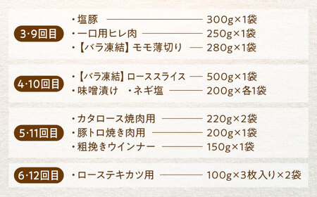 【12回定期便】豚肉大満喫コース 計11.04kg 白川町 / 藤井ファーム[AWAF074]