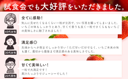 さくらももいちご 4パック 佐那河内村限定 いちご