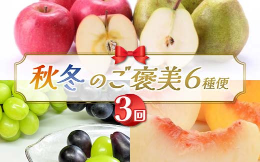 【2026年先行予約】秋冬のご褒美6種便（3回定期便） 桃 もも シャインマスカット ぶどう りんご ラ・フランス 梨 果物 フルーツ 山形県 FSY-2636