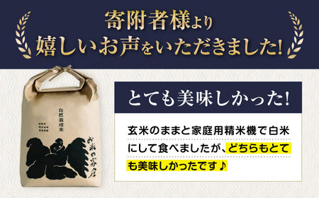 【先行予約】令和8年産 新米 滋賀旭 10kg 玄米 [AQCP041]