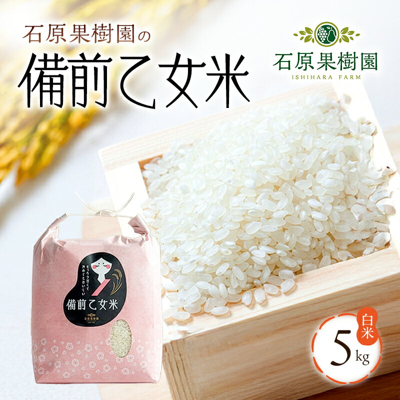 【ふるさと納税】米 令和7年産 石原果樹園の備前乙女米 白米 5kg×1袋 ※11月上旬～順次発送予定 お米 精米 白米 ライス 乳酸菌栽培 岡山県 おにぎり お弁当　お届け：11月上旬～順次発送予定