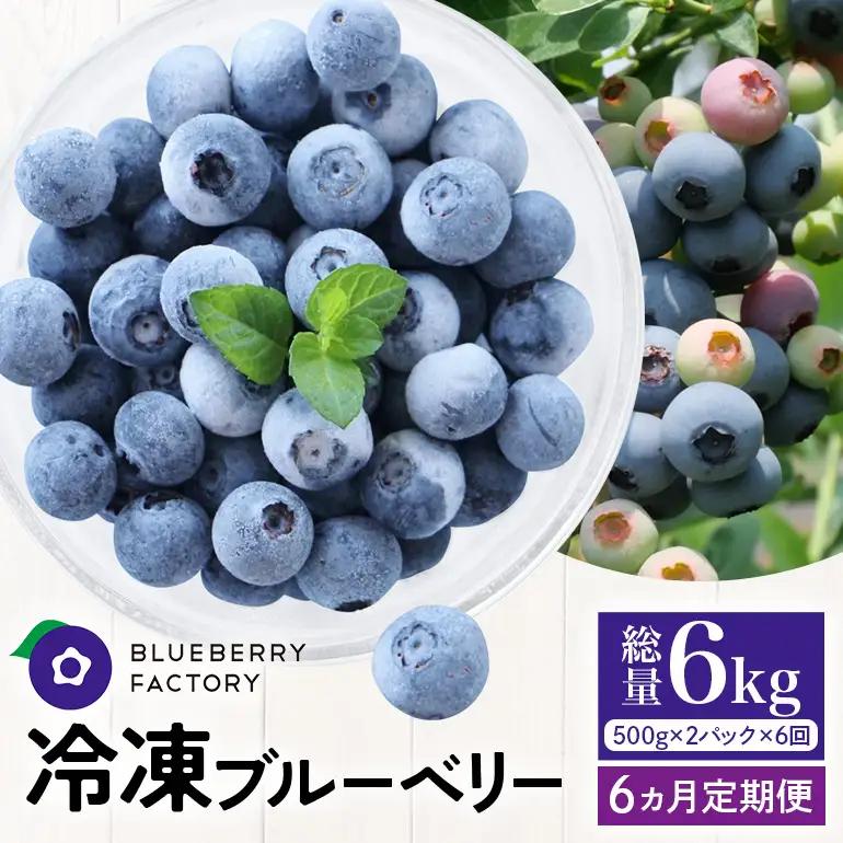 【6か月定期便】岐阜県産 冷凍ブルーベリー＜真空パック保存＞1kgパック A16-020 ブルーベリーファクトリー