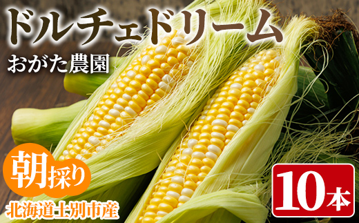 スイートコーン ドルチェドリーム (10本)【2026年7月下旬以降発送予定】 北海道産 北海道 士別市 バイカラー とうもろこし とうきび 野菜 産地直送 新鮮野菜 【おがた農園】【A7148】