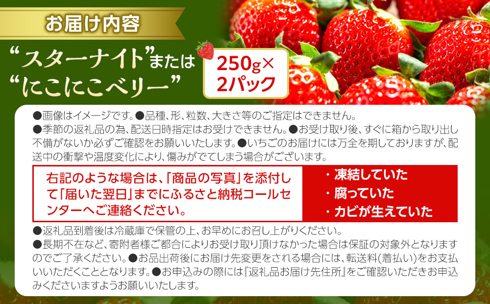 【ふるさと納税／先行予約】OneBerry いちご農園 品種おまかせ 旬のいちご 250ｇ× 2パック【2027年1月5日以降順次発送】 ｜ いちご イチゴ 苺 宮城県 限定 産地直送 産直 農家直送 角田市