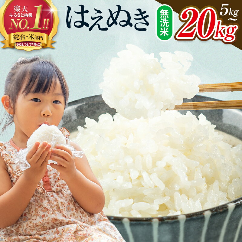 【ふるさと納税】 総合1位 無洗米 はえぬき 5kg 10kg 20kg 定期便も選べる レビュー高評価 山形県産 令和7年産 選べる内容量 発送時期 定期便 3ヶ月 6ヶ月 3回 6回 3か月 6か月 ランキング1位 精米 お米 米 おこめ ごはん ご飯 ライス 白米 国産 ブランド米 弁当 FYN1-131var