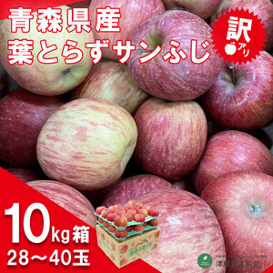 【令和7年1月下旬頃発送】産地直送 青森県産 訳ありサンふじ10キロ箱 26～46玉 青森県産りんご【配送不可地域：離島・沖縄県】【1288124】