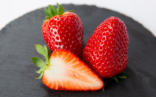 春いちご　古都華　約300g×4パック　合計約1200g【配送不可地域：離島・北海道・沖縄県】