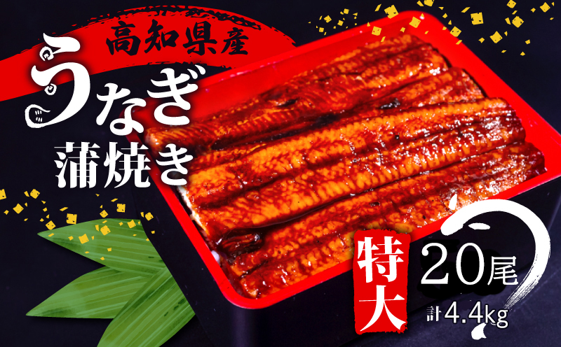 【高知県産】 うなぎ蒲焼き 220ｇ 20尾セット/ 鰻 ウナギ かば焼き 冷凍