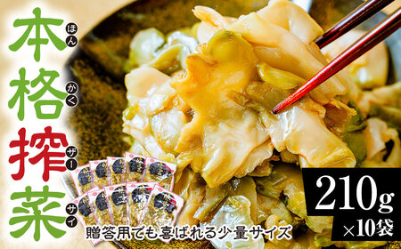 ザーサイ210g パック ザーサイ10袋 