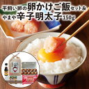 新鮮 卵かけご飯セット やまや 辛子明太子 150g セット 卵 かぐやひめ 20個 明太子 お米 2kg 卵かけ醤油 平飼い卵 卵かけご飯 ご飯のお供 朝ごはん お取り寄せ お取り寄せグルメ 送料無料 福岡県 上毛町特別企画