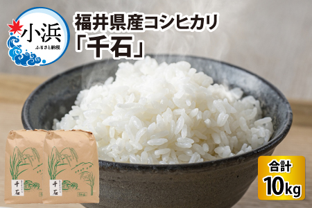 【令和7年産】福井県産コシヒカリ「千石」 10kg 小浜市 / 千石の郷  [BFCA001]