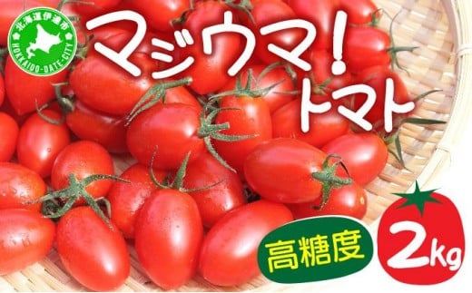 【2026年先行予約】北海道 伊達 岡本園芸 ミニトマト 高糖度 約2kg【マジウマ！トマト】