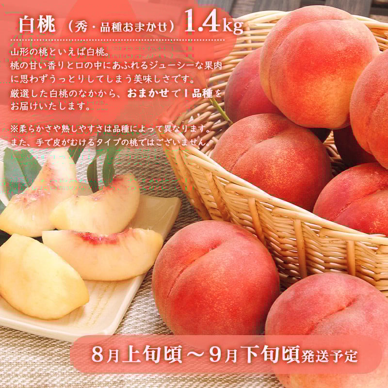 『日本一さくらんぼ里　寒河江』よりお届け　最高級 さくらんぼ「佐藤錦」