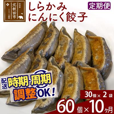 ふるさと納税 北秋田市 【定期便10ヶ月】しらかみにんにく餃子 60個 (30個×2パック) |genk-020310