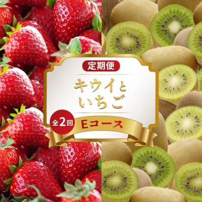 ふるさと納税 丸亀市 【発送月固定定期便】フルーツ定期便 Eコース(キウイ いちご) 香川県 丸亀市全2回