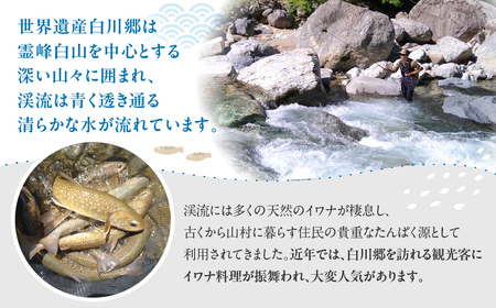 白川村産 天然岩魚 イワナ 3尾 18cm以上 岩魚 天然 いわな イワナ 魚 川魚 BBQ バーベキュー アウトドア 岐阜県 白川郷 世界遺産 塩焼き 5000円 [S801]