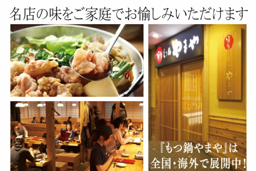 もつ鍋 博多もつ鍋やまや もつ鍋セット あごだし醤油味 1～2人前 [やまやコミュニケーションズ 福岡県 宇美町 um40azo860001] もつ鍋セット モツ鍋 国産 牛もつ 牛モツ 牛ホルモン