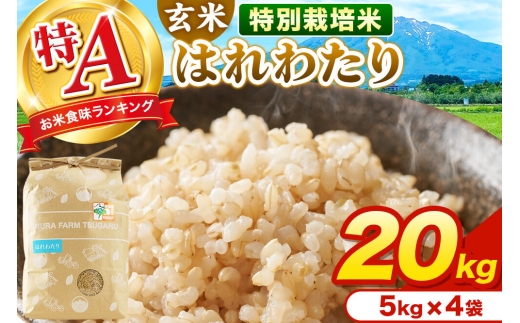 米【特別栽培米】はれわたり 玄米 20kg（5kg×4袋）令和7年産 特A 青森県弘前市産 [20キロ 5キロ 小分け はれわたり 特別栽培米 玄米 ブランド米 青森県 弘前市産]