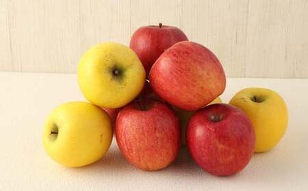 二戸産りんご サンふじ＆シナノゴールド 約3kg (9～11玉) ／りんご リンゴ 林檎 フルーツ 果物 旬 お取り寄せ 食べ比べ  【2025年12月発送予定】