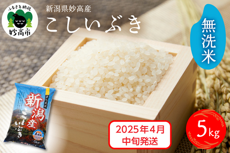 【2025年4月中旬発送】令和6年産 新潟県妙高産こしいぶき5kg 無洗米 白米 精米 お取り寄せ 5キロ 新潟 妙高市 小出農場