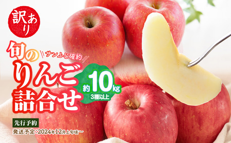 《先行予約》訳あり 旬のりんご詰合せ約10kg（サンふじ確約3種以上）【2024年12月上旬頃～発送予定】【大江町産・山形りんご・りんご専科 清野哲生】 015-053