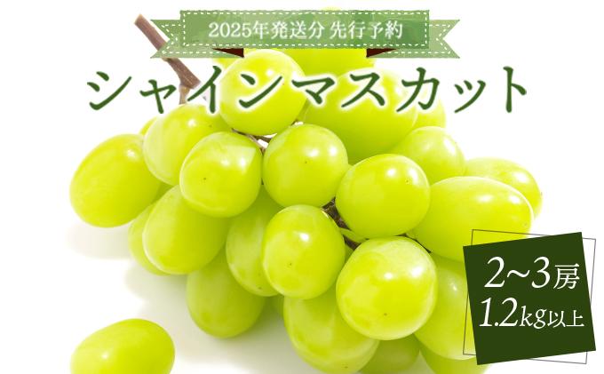 ＜2025年発送分 先行予約＞シャインマスカット 1.2kg以上（2～3房）［025-a010］