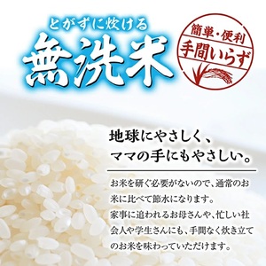 SB0867　令和7年産【無洗米】庄内産 特別栽培米 つや姫　5kg(5kg×1袋) SA