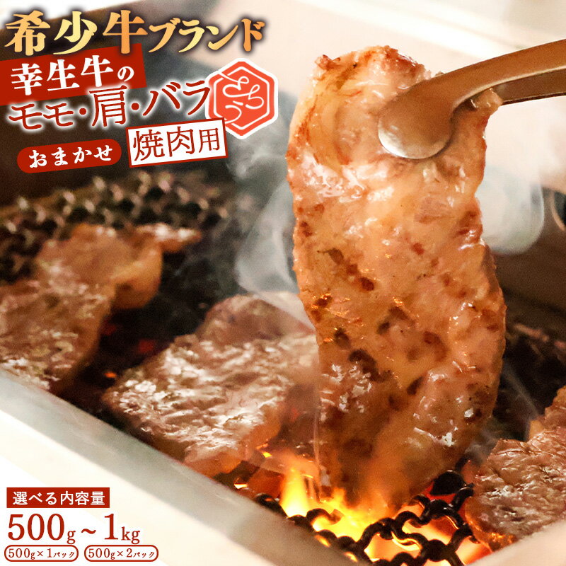 【ふるさと納税】 幸せを運ぶ牛《幸生牛》希少牛 焼肉用 モモ 肩 おまかせ 500g 〜 1kg (500g×2パック) ／ 厳選 牛肉 小分け ご褒美 ディナー 人気 山形県産 お酒のお供 贅沢 お取り寄せ 山形 個包装 高級 国産 限定 数量限定 希少