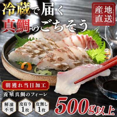 ふるさと納税 大月町 朝獲れ 真鯛 フィーレ 皮付き 皮なし 500g以上 冷蔵 養殖 たい タイ マダイ