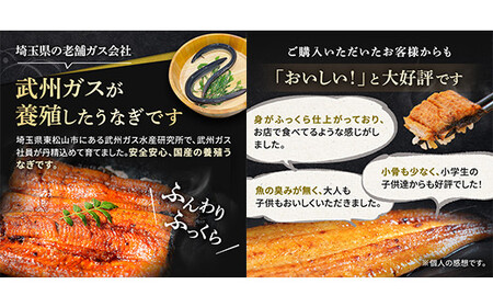 うなぎ 国産 4尾 中サイズ 約480g | うなぎ 国産