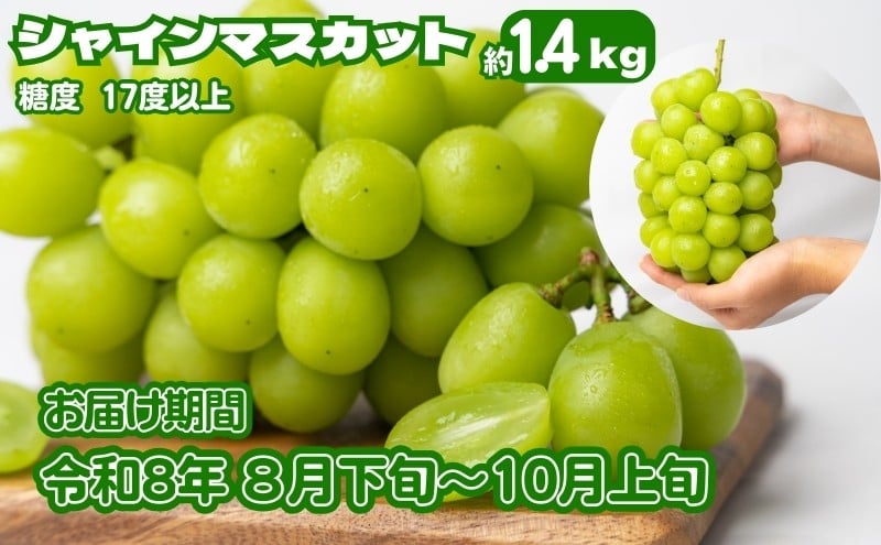 
            《鮮度抜群》シャインマスカット 約1.4kg 2～4房入り ぶどう 香川県産 種なし 果物 葡萄 フルーツ 甘い 送料無料 冷蔵 期間限定 年内発送 おいしい 高評価 採れたて 産地厳選 大人気 産直 
          