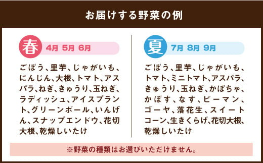 竹田市産！季節の『野菜箱』3ヶ月定期便【1箱あたり:8~12種】