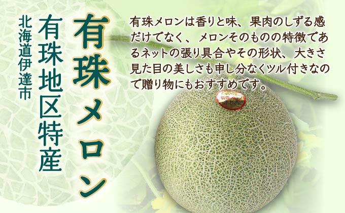 北海道産 有珠メロン 2玉 セット 青肉 Lサイズ 1.6kg以上×2玉 ツル付き グリーンメロン 果物 めろん フルーツ くだもの 完熟 旬 ご褒美 ギフト お祝い 産地直送 お取り寄せ 北海道 藤