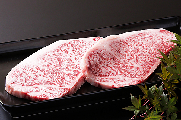 【全6回定期便】佐賀県産 牛豚鶏肉三昧12kgコース：C214-001_イメージ3