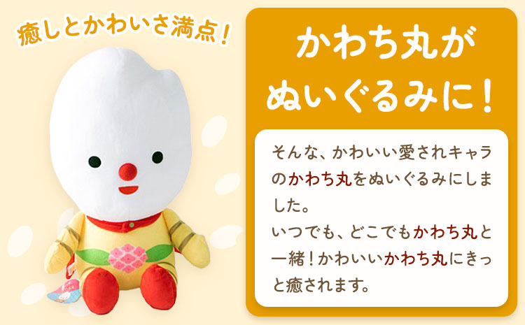 河内町 イメージキャラクター かわち丸 ぬいぐるみ 2個セット(大1個、小1個) まちづくり河内株式会社かわち夢楽《30日以内に出荷予定(土日祝除く)》 茨城県 河内町 ぬいぐるみ かわち丸 ボールチ