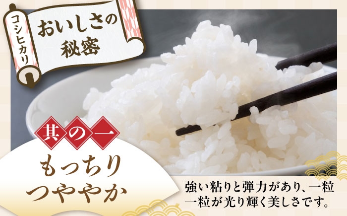 近江米 コシヒカリ こしひかり 滋賀県産 国産 10kg 米 コメ お米 白米 ご飯 おにぎり ご飯のお供 お弁当 