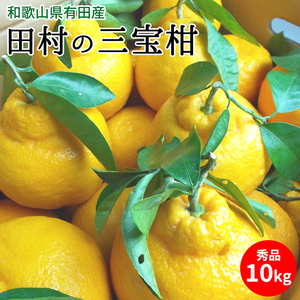 田村の三宝柑（葉付き）秀品 約10kg 和歌山県有田産_U6237n
