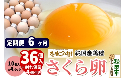 《定期便6ヶ月》 たまごの樹 純国産鶏種 卵『さくら』36個+割れ保証4個付き（10個入×4パック） [たまご タマゴ 玉子 鶏卵 まとめ買い オムレツ 卵かけご飯 朝食 料理 美味しい 瀧田養鶏場]