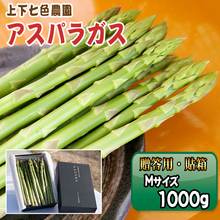 【ふるさと納税】No.1094 上下七色農園贈答用アスパラガス　Mサイズ　貼箱（1kg） ／作物 アスパラ プレゼント お中元 送りもの 野菜 送料無料 広島県