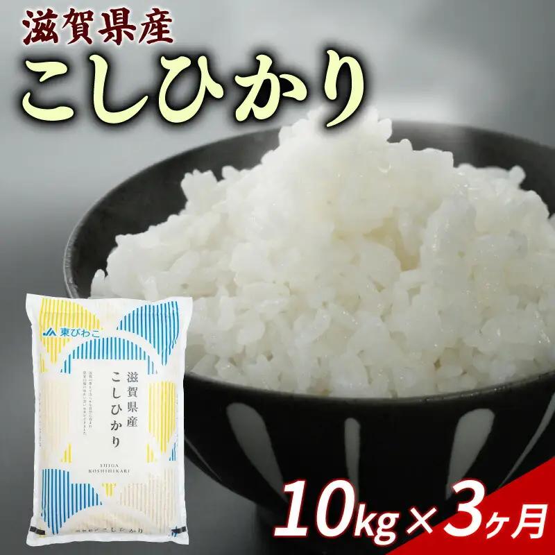 【3ヶ月定期便】こしひかり 10kg 令和7年産 コシヒカリ 定期便 お米 米