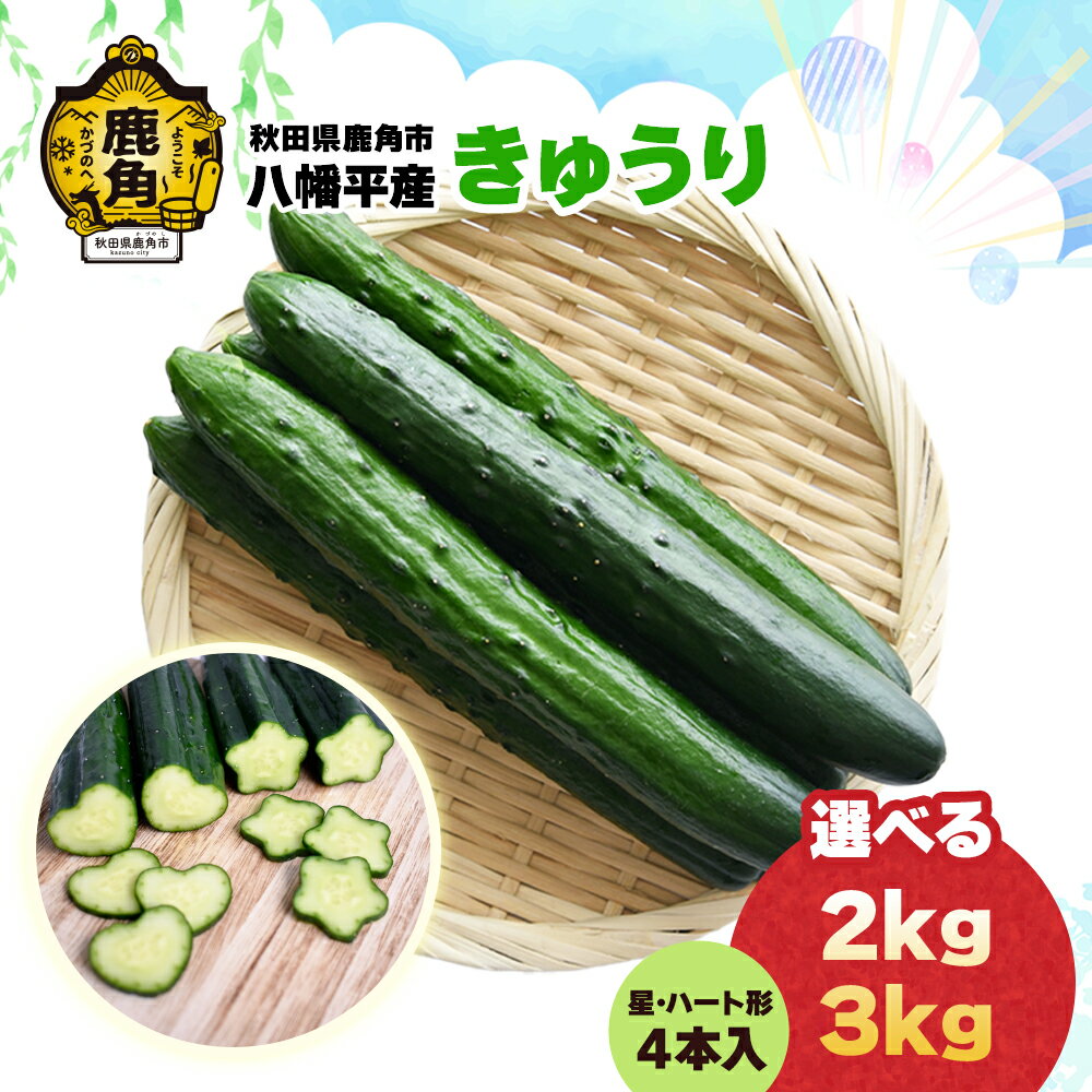 【ふるさと納税】《 先行予約 》 秋田県鹿角市八幡平産 きゅうり 2kg / 3kg （ 20～30本程度 ）星・ハート形きゅうり付 キュウリ 胡瓜 野菜 夏野菜 新鮮 旬 食べ頃 詰め合わせ お中元 お取り寄せ グルメ ギフト 人気 おすすめ 秋田 鹿角市 送料無料 【TR farm】
