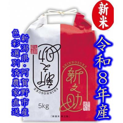 ふるさと納税 阿賀野市 【令和8年産新米】 新潟県産「新之助」 白米 5kg