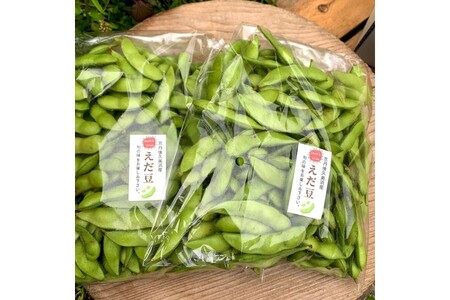 【先行予約／数量限定40】朝採り枝豆（湯上り娘）1kg（250g×4パック）（栽培期間中農薬・化学肥料・除草剤不使用）（2026年7月上旬～発送）