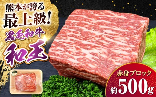 熊本県産 A5等級 黒毛和牛 和王赤身ブロック 約500g / 熊本 牛 肉 黒毛和牛 和牛 赤身 ロースト ビーフ A5【帝神志方ミート 株式会社】 [AYCH014]