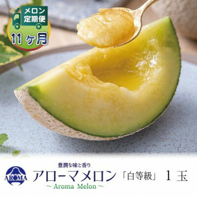 【ふるさと納税】【毎月定期便】アローマメロン(白等級) 1玉　全11回【配送不可地域：離島・北海道・沖縄県】【4071977】