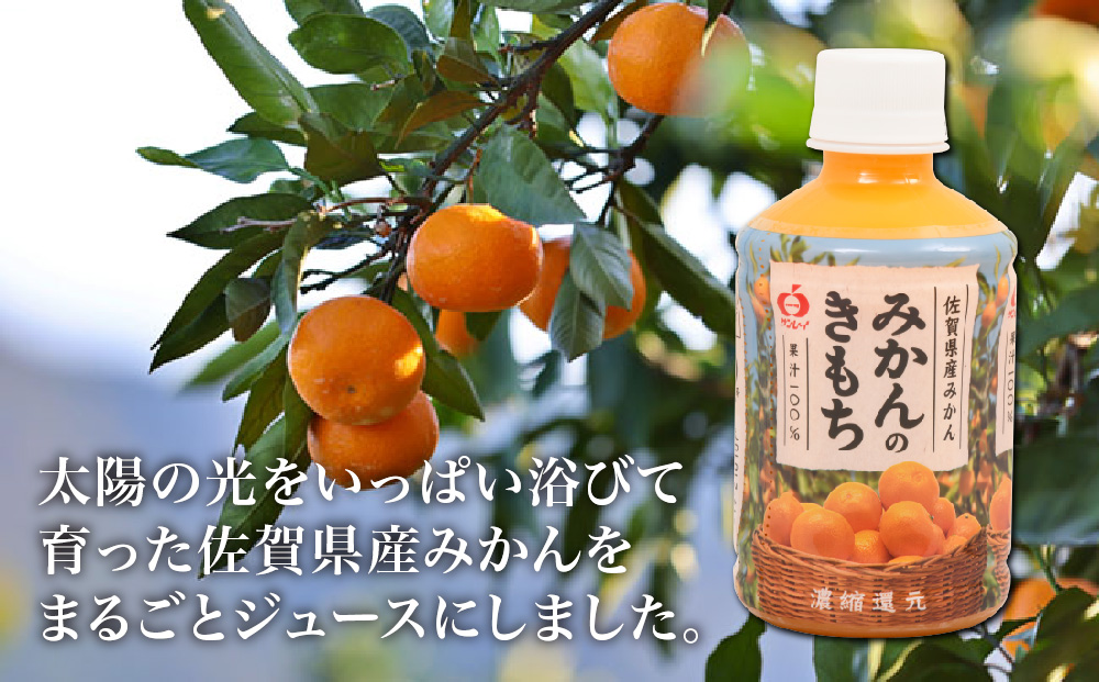 みかんのきもち 2箱セット 【みかん ジュース】(H040151)