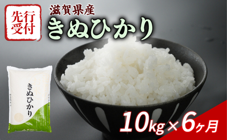 米定期便 令和7年産 きぬひかり 10kg×6ヶ月 米定期便 米定期便 米定期便 米定期便 米定期便